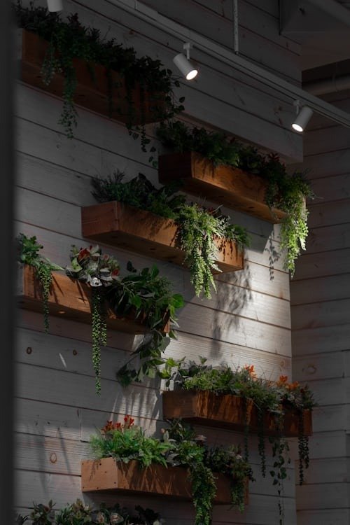 Eco Garden Systems