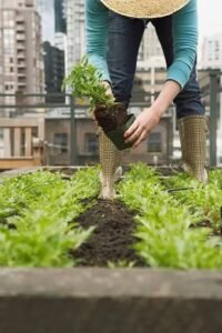 Eco Garden Systems