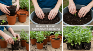 How To Start Container Gardening