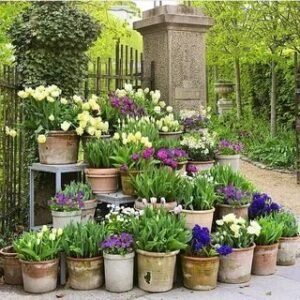 container garden