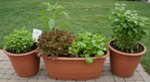 What Is Vegetable Container Gardening 